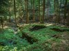 IMG_5866